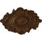 Ekena Millwork Strasbourg Ceiling Medallion, Hand-Painted Root Beer Crackle, 30 1/2"W x 20"H x 1 1/2"P CM30SGRBC - alternate 1